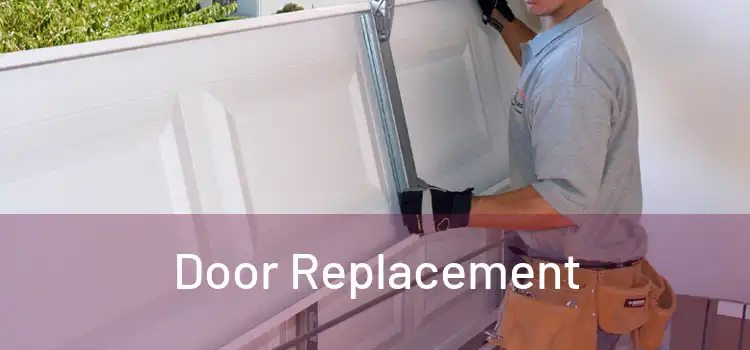  Door Replacement 