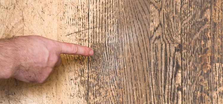 Wood Door Scratch Repair in Santa Monica